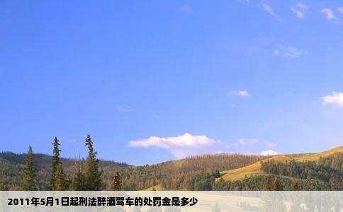 2011年5月1日起刑法醉酒驾车的处罚金是多少