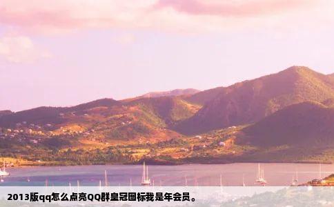 2013版qq怎么点亮QQ群皇冠图标我是年会员。