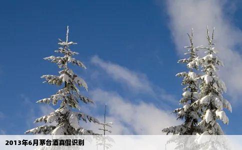 2013年6月茅台酒真假识别
