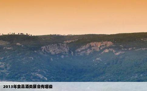 2013年食品酒类展会有哪些
