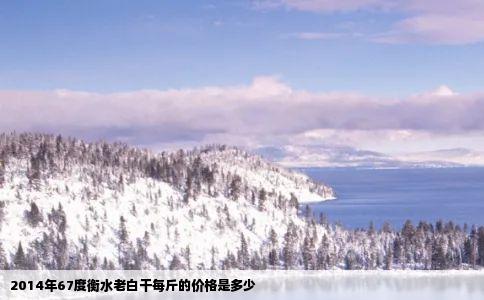 2014年67度衡水老白干每斤的价格是多少