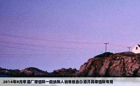 2014年8月甲酒厂增值税一般纳税人销售粮食白酒开具增值税专用