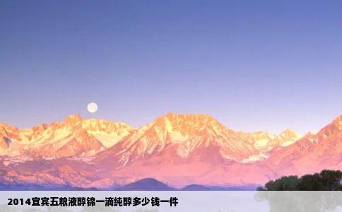 2014宜宾五粮液醇锦一滴纯醇多少钱一件