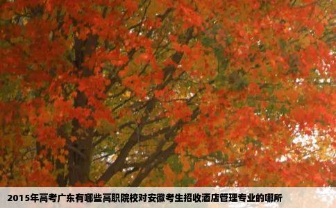 2015年高考广东有哪些高职院校对安徽考生招收酒店管理专业的哪所