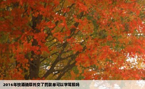 2016年饮酒骑摩托交了罚款单可以学驾照吗