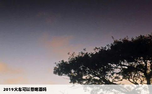 2019火车可以带啤酒吗
