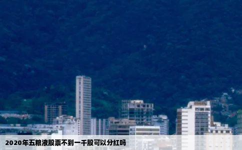 2020年五粮液股票不到一千股可以分红吗