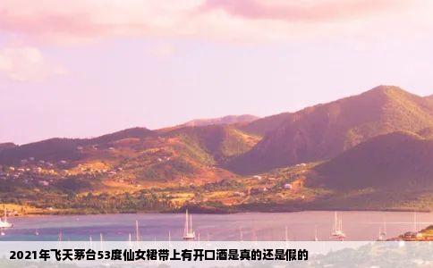 2021年飞天茅台53度仙女裙带上有开口酒是真的还是假的