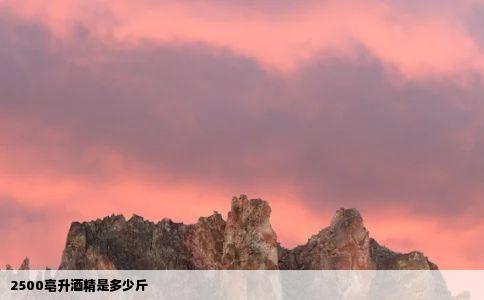 2500亳升酒精是多少斤