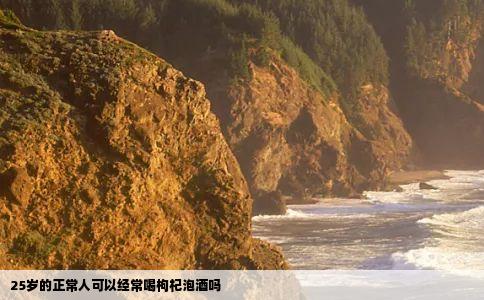 25岁的正常人可以经常喝枸杞泡酒吗