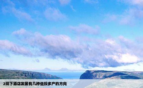 2现下酒店发展有几种低投多产的方向