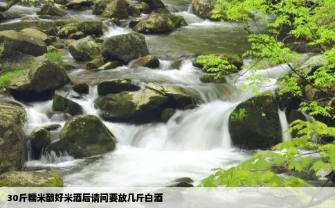 30斤糯米酿好米酒后请问要放几斤白酒