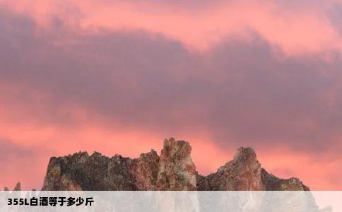355L白酒等于多少斤