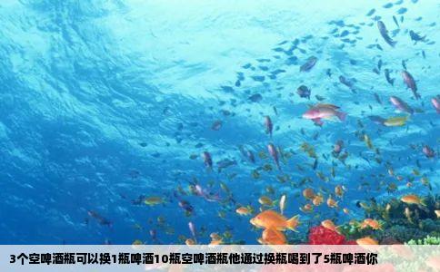 3个空啤酒瓶可以换1瓶啤酒10瓶空啤酒瓶他通过换瓶喝到了5瓶啤酒你