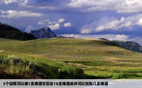 3个空瓶可以换1支啤酒甘买左10支啤酒总共可以饮到几支啤酒