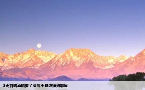 3天前喝酒喝多了头部不知道撞到哪里