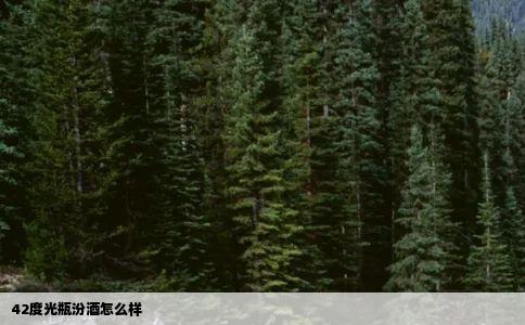 42度光瓶汾酒怎么样