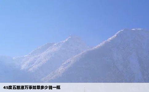 45度五粮液万事如意多少钱一瓶