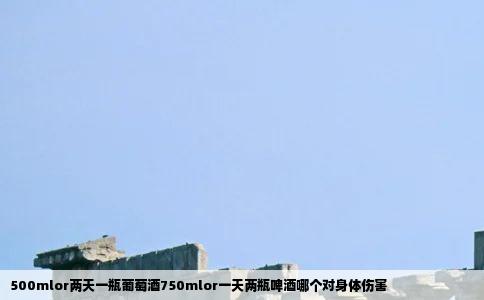 500mlor两天一瓶葡萄酒750mlor一天两瓶啤酒哪个对身体伤害