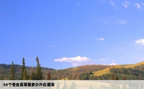 50个冬虫夏草要多少斤白酒泡