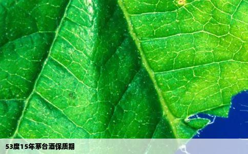 53度15年茅台酒保质期