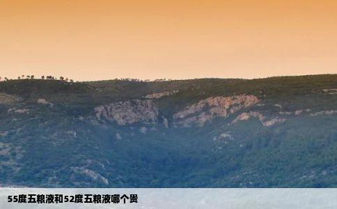 55度五粮液和52度五粮液哪个贵