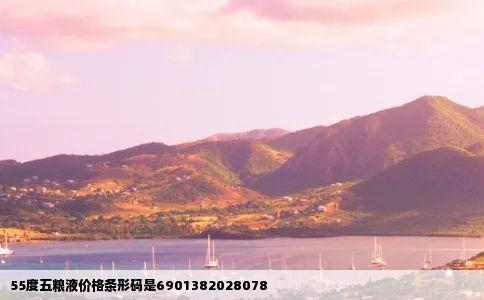 55度五粮液价格条形码是6901382028078