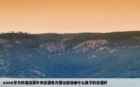 6000平方的酒店用中央空调各方面比较选者什么牌子的空调好