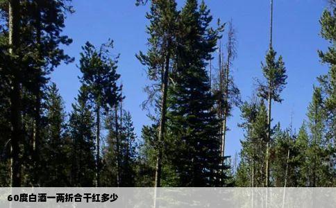 60度白酒一两折合干红多少