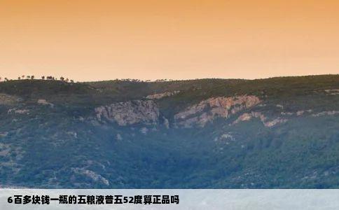 6百多块钱一瓶的五粮液普五52度算正品吗