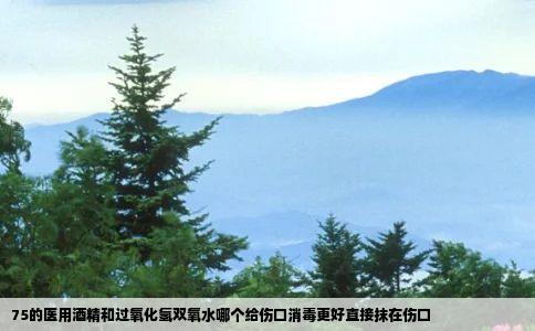 75的医用酒精和过氧化氢双氧水哪个给伤口消毒更好直接抹在伤口