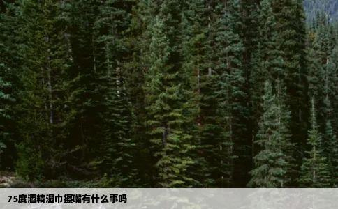 75度酒精湿巾擦嘴有什么事吗