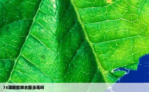 75酒精能喷衣服消毒吗