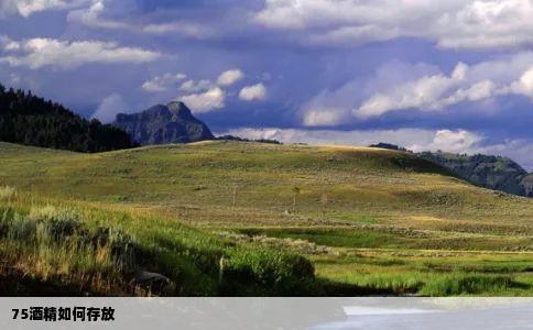 75酒精如何存放