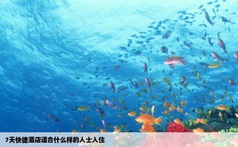 7天快捷酒店适合什么样的人士入住