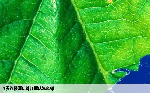 7天连锁酒店都江堰店怎么样