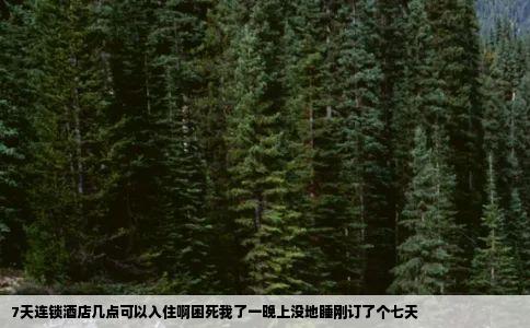 7天连锁酒店几点可以入住啊困死我了一晚上没地睡刚订了个七天
