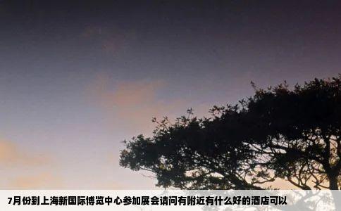 7月份到上海新国际博览中心参加展会请问有附近有什么好的酒店可以
