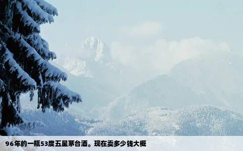 96年的一瓶53度五星茅台酒现在卖多少钱大概