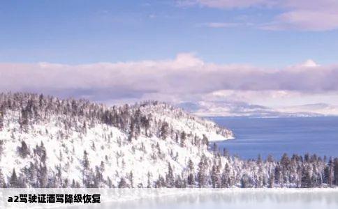 a2驾驶证酒驾降级恢复