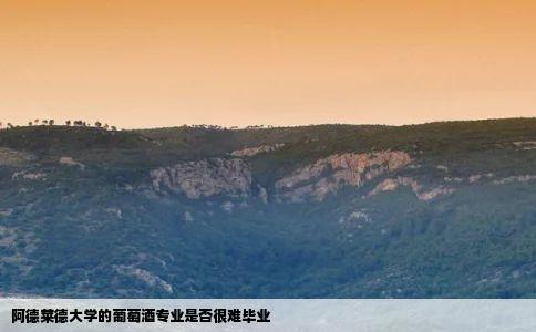 阿德莱德大学的葡萄酒专业是否很难毕业
