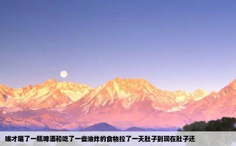 唉才喝了一瓶啤酒和吃了一些油炸的食物拉了一天肚子到现在肚子还