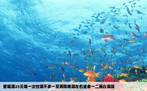 爱喝酒23天喝一次饮酒不多一至两瓶啤酒左右或者一二两白酒算