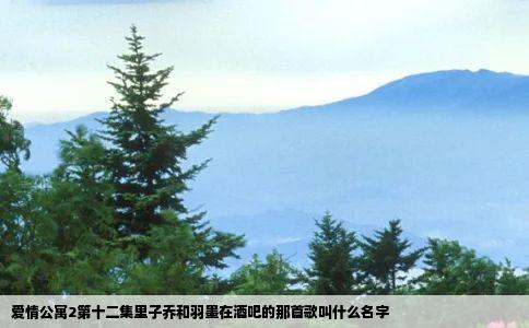 爱情公寓2第十二集里子乔和羽墨在酒吧的那首歌叫什么名字