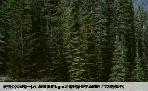 爱情公寓里有一段小提琴奏的bgm场景好像是在酒吧听了觉得很轻松