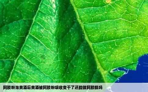 阿胶粉泡黄酒后黄酒被阿胶粉吸收变干了还能做阿胶糕吗