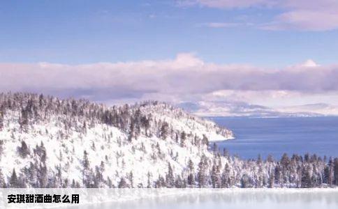 安琪甜酒曲怎么用