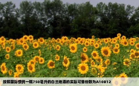 按照国际惯例一瓶750毫升的白兰地酒的实际可售份数为A10B12