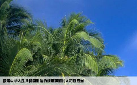 按照中华人民共和国刑法的规定醉酒的人犯罪应当