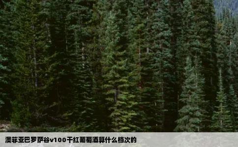 澳菲亚巴罗萨谷v100干红葡萄酒算什么档次的